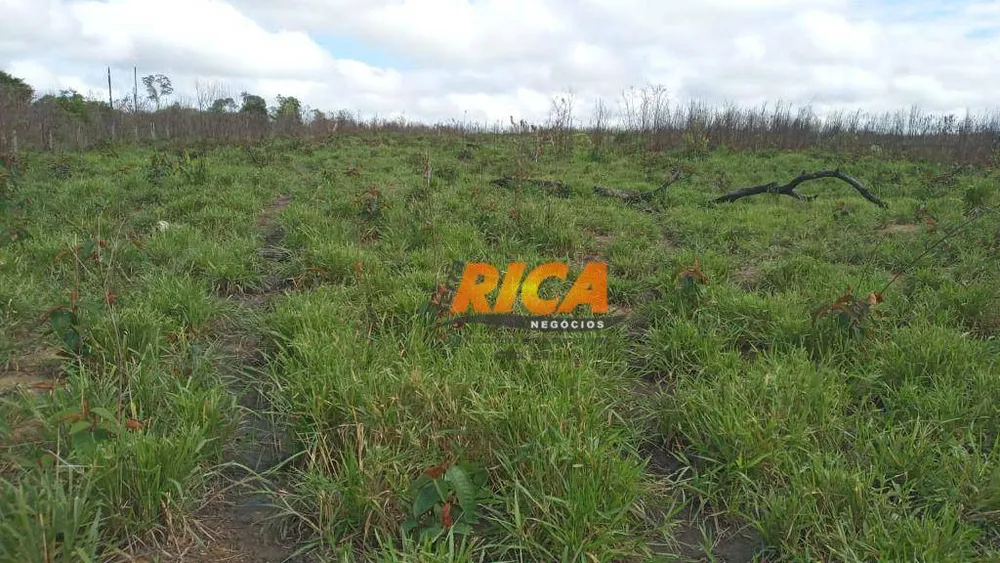 Fazenda, 400 hectares - Foto 9