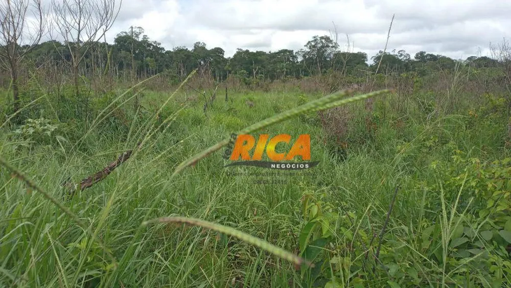 Fazenda, 400 hectares - Foto 7