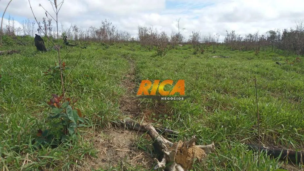 Fazenda, 400 hectares - Foto 8