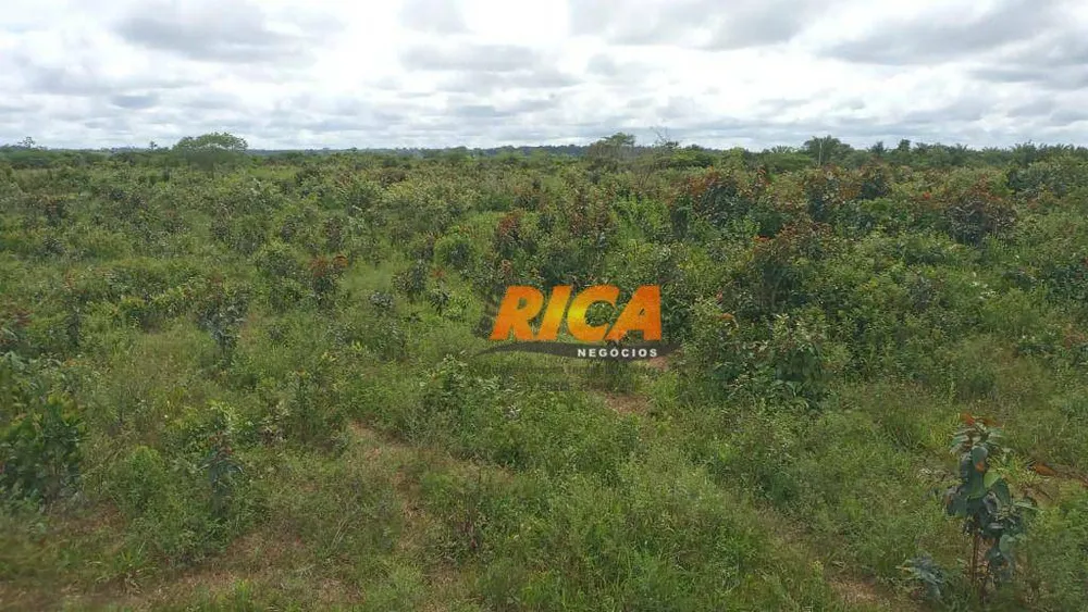 Fazenda, 400 hectares - Foto 12