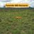 Fazenda, 400 hectares - Foto 1