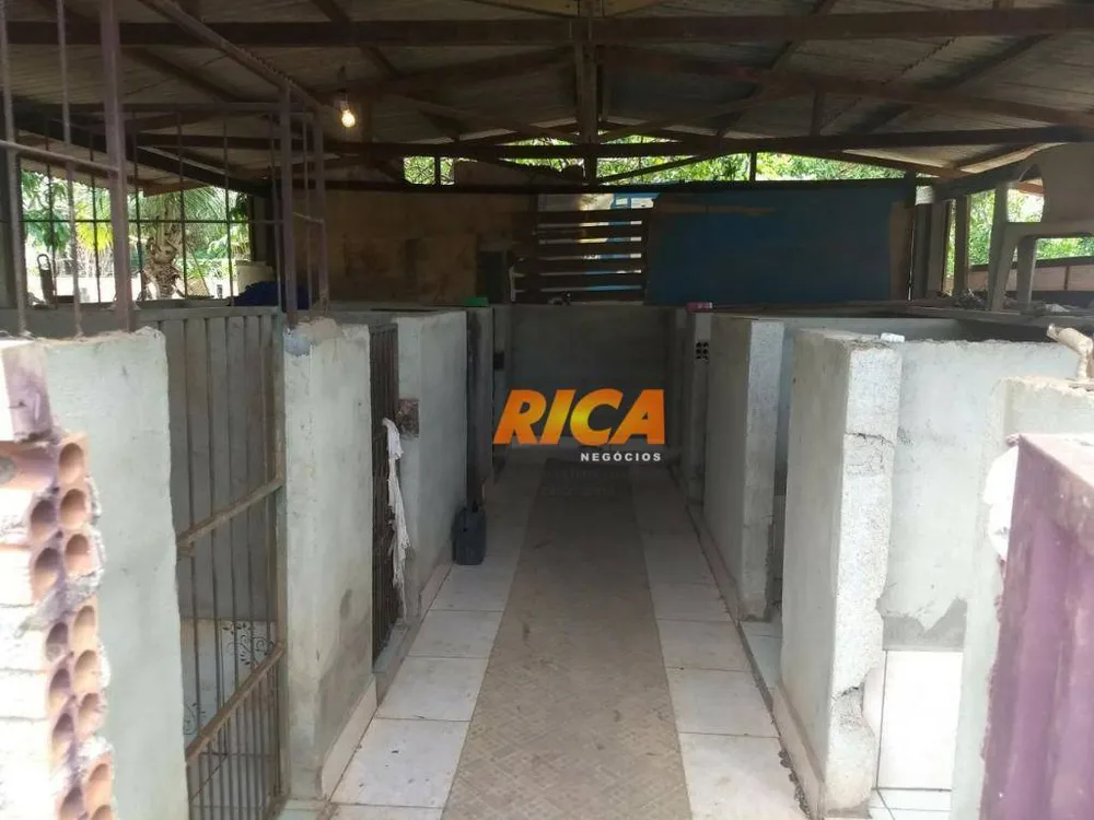 Chácara, 1 quarto, 10000 m² - Foto 10