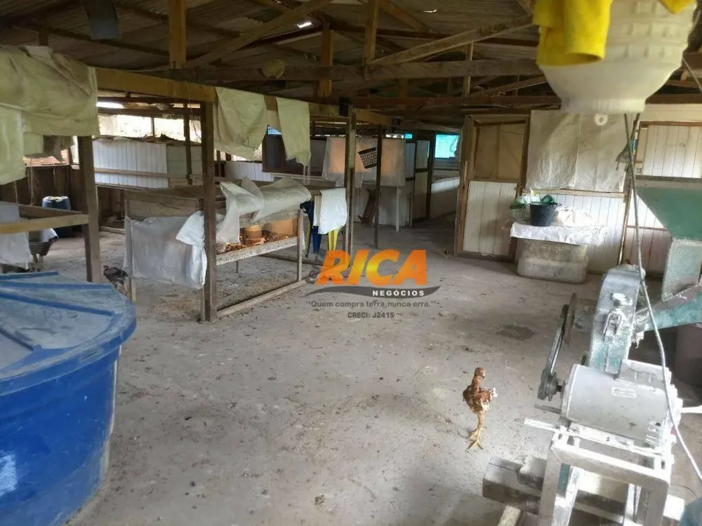 Chácara, 1 quarto, 10000 m² - Foto 15
