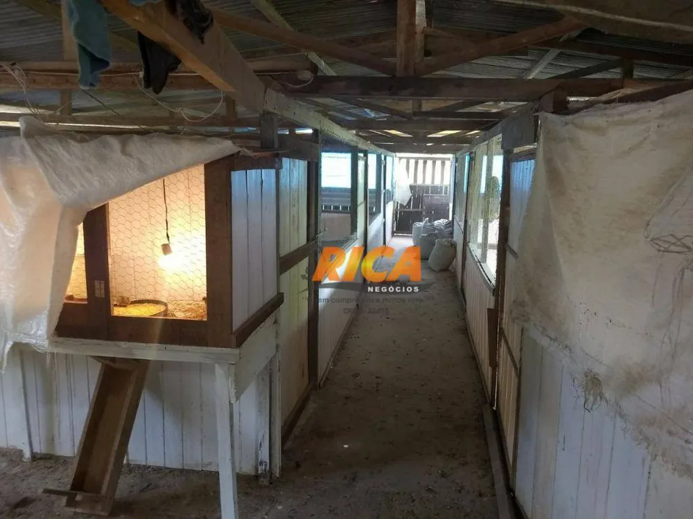 Chácara, 1 quarto, 10000 m² - Foto 9
