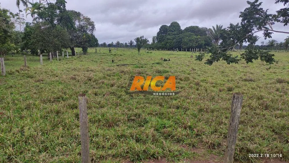 Fazenda, 179 hectares - Foto 6