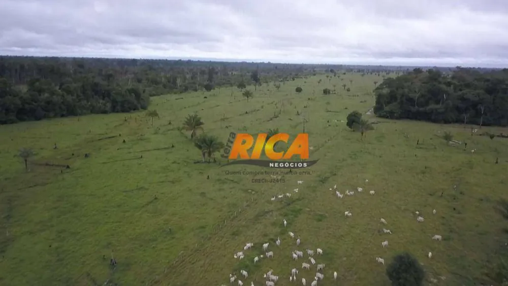 Fazenda, 179 hectares - Foto 15
