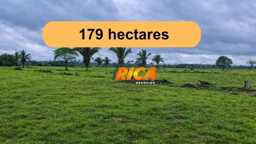 Fazenda, 179 hectares - Foto 2