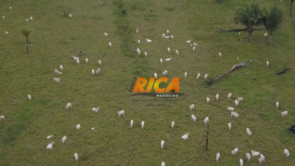 Fazenda, 179 hectares - Foto 10