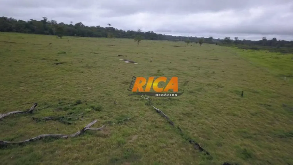 Fazenda, 179 hectares - Foto 9