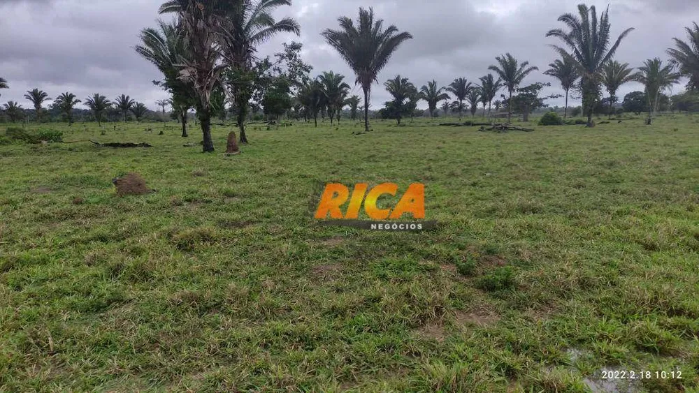 Fazenda, 179 hectares - Foto 4