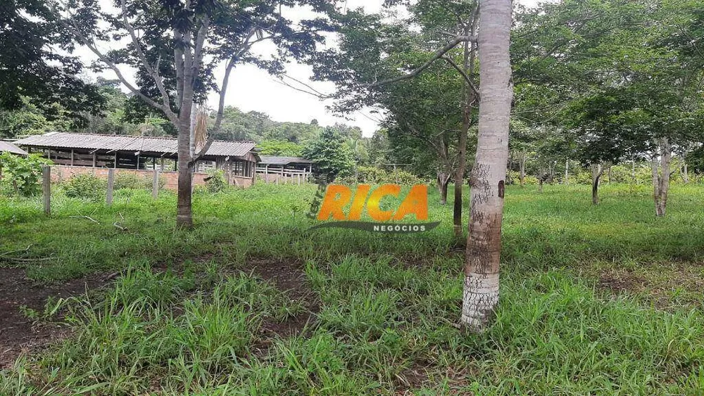 Sítio, 5 quartos, 50 hectares - Foto 7