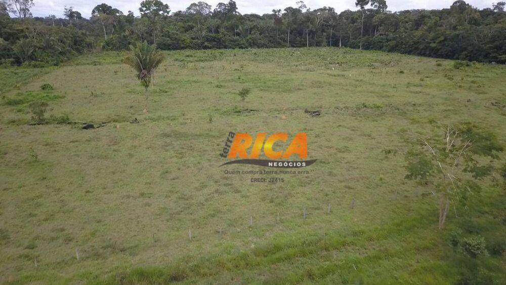 Sítio, 5 quartos, 50 hectares - Foto 3