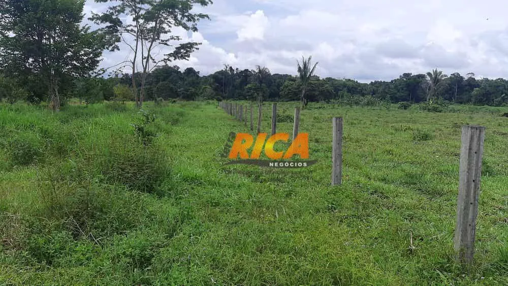 Sítio, 5 quartos, 50 hectares - Foto 8