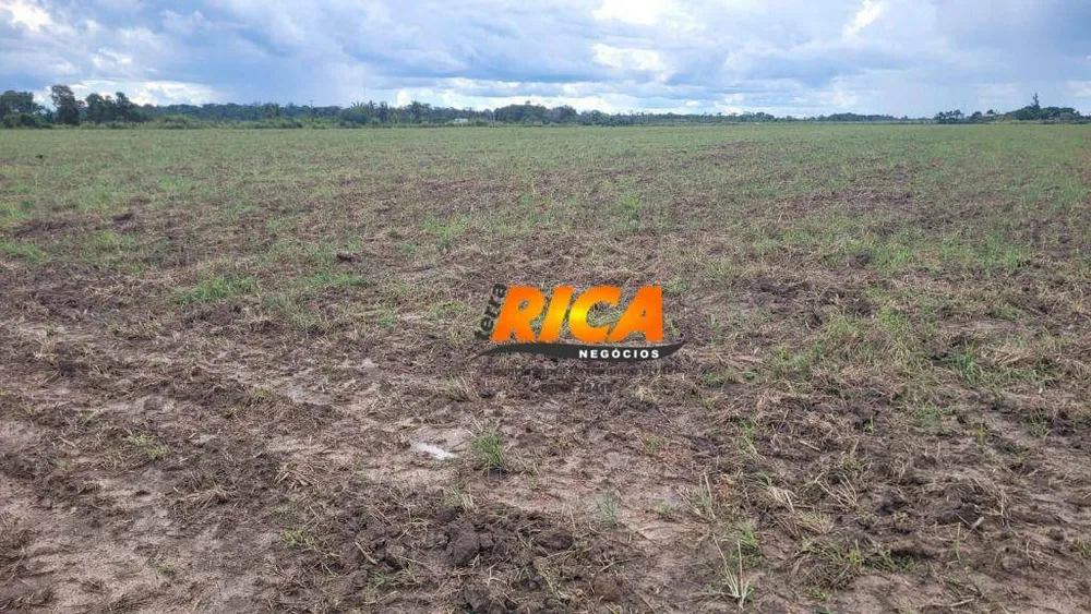 Fazenda, 462 hectares - Foto 9