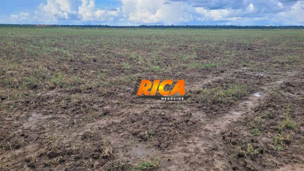Fazenda, 462 hectares - Foto 11