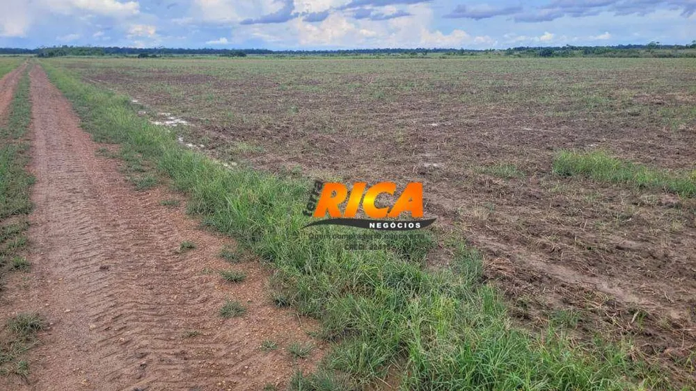 Fazenda, 462 hectares - Foto 8