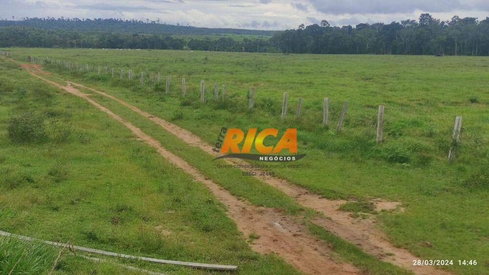 Fazenda, 700 hectares - Foto 4