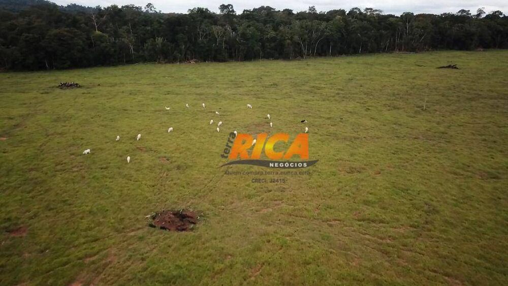 Fazenda, 700 hectares - Foto 1