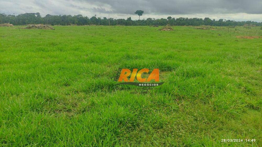 Fazenda, 700 hectares - Foto 3