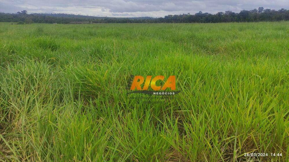 Fazenda, 700 hectares - Foto 2