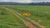Fazenda, 1800 hectares - Foto 4