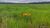 Fazenda, 1800 hectares - Foto 2