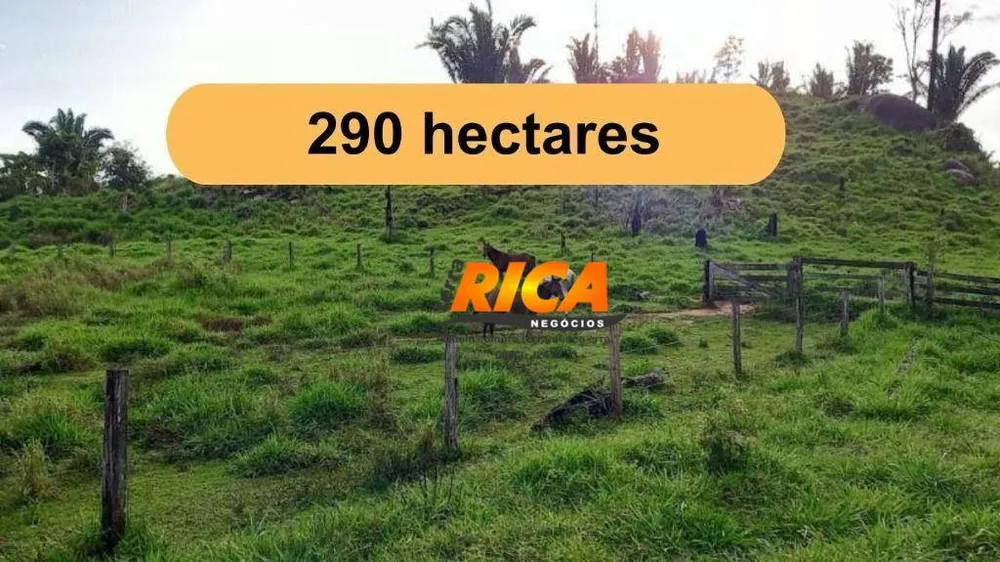 Fazenda, 290 hectares - Foto 1
