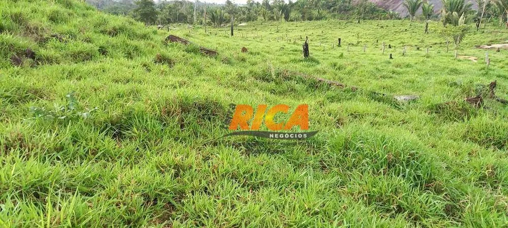Fazenda, 290 hectares - Foto 12