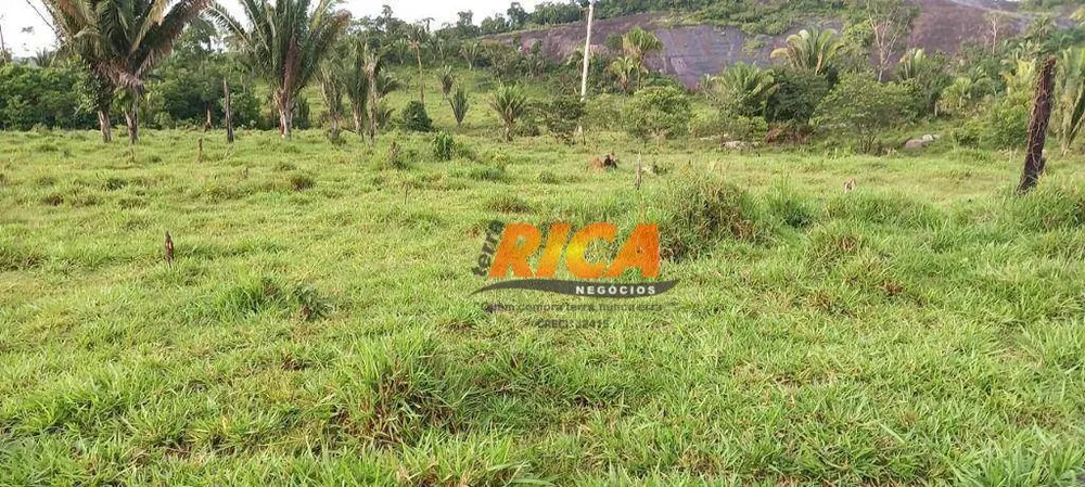 Fazenda, 290 hectares - Foto 8