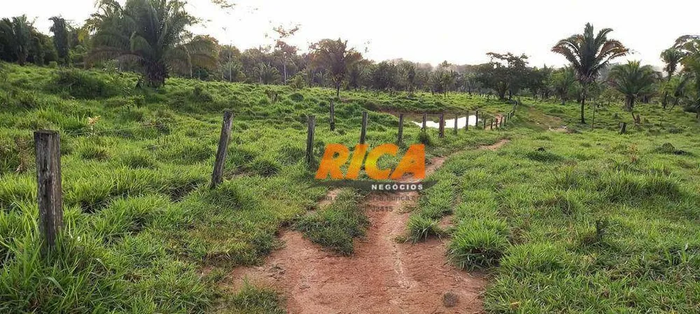 Fazenda, 290 hectares - Foto 7