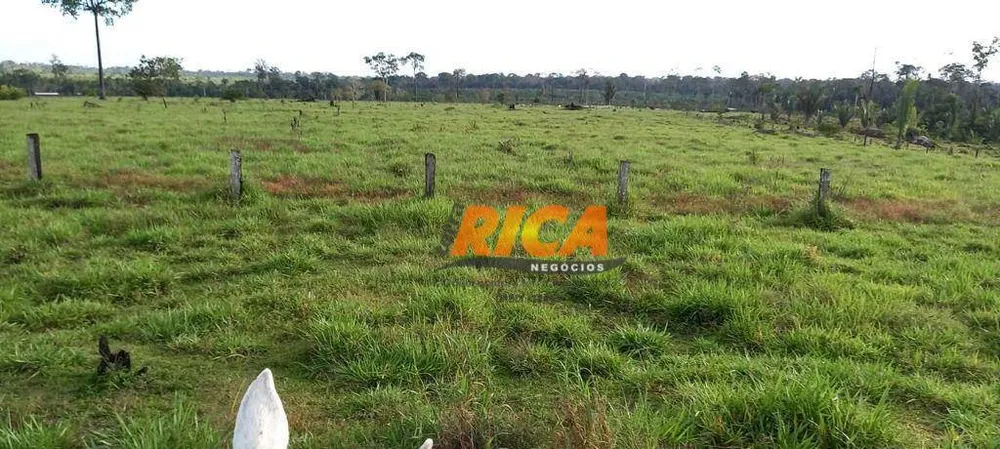 Fazenda, 290 hectares - Foto 10