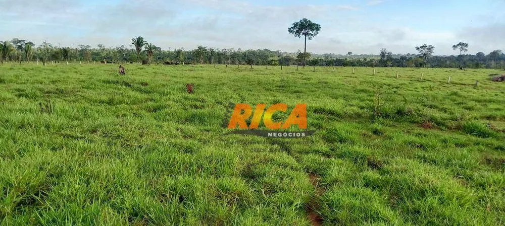 Fazenda, 290 hectares - Foto 6