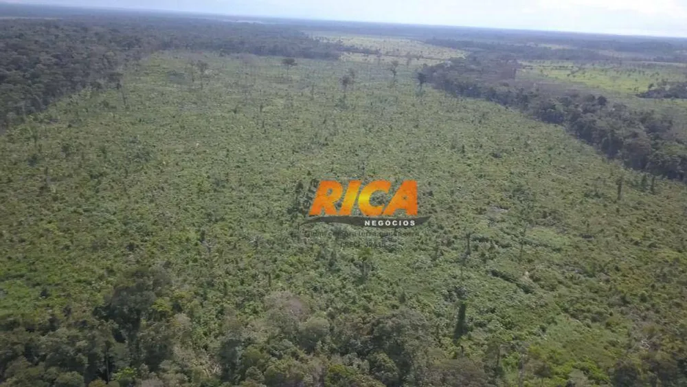 Fazenda, 160 hectares - Foto 6