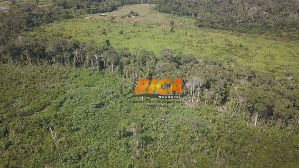 Fazenda, 160 hectares - Foto 7