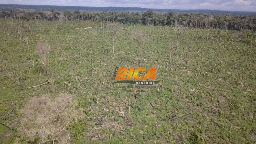 Fazenda, 160 hectares - Foto 3