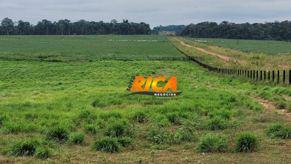 Fazenda, 4400 hectares - Foto 4