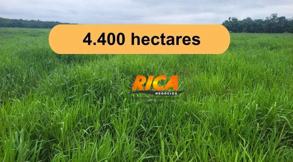 Fazenda, 4400 hectares - Foto 1