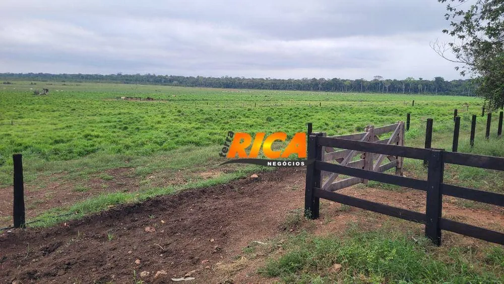 Fazenda, 4400 hectares - Foto 8