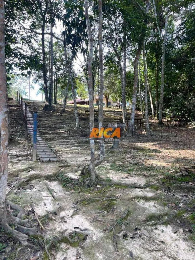 Chácara, 5 quartos, 12 hectares - Foto 5