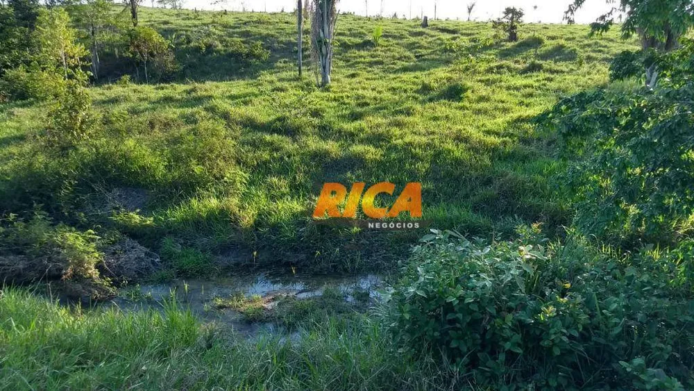 Fazenda, 454 hectares - Foto 7