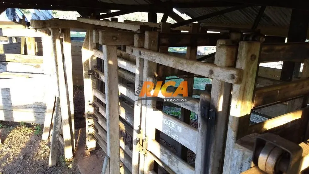 Fazenda, 454 hectares - Foto 12