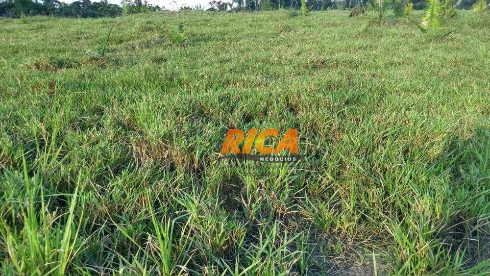 Fazenda à venda com 1 quarto, 4540000M2 - Foto 2