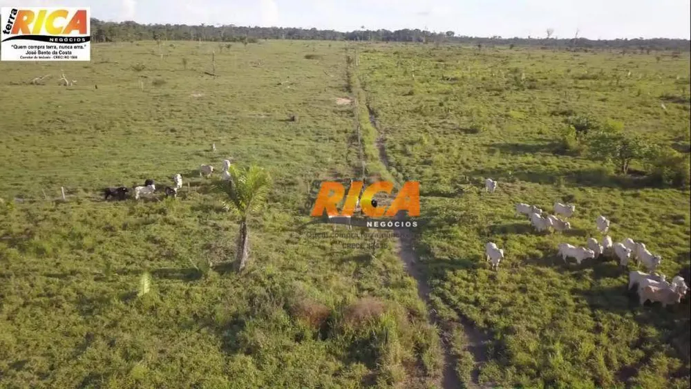 Fazenda, 454 hectares - Foto 10