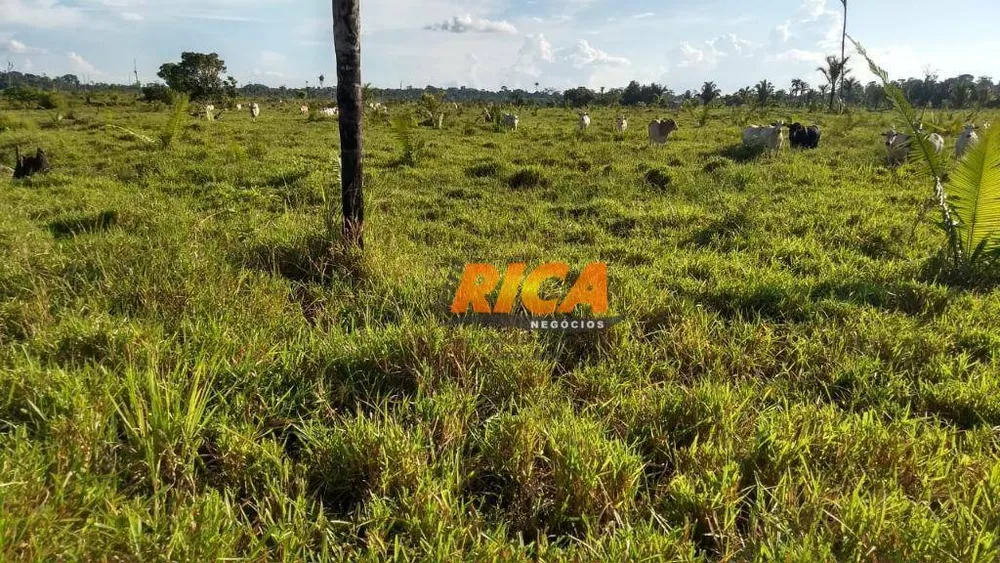 Fazenda, 454 hectares - Foto 9