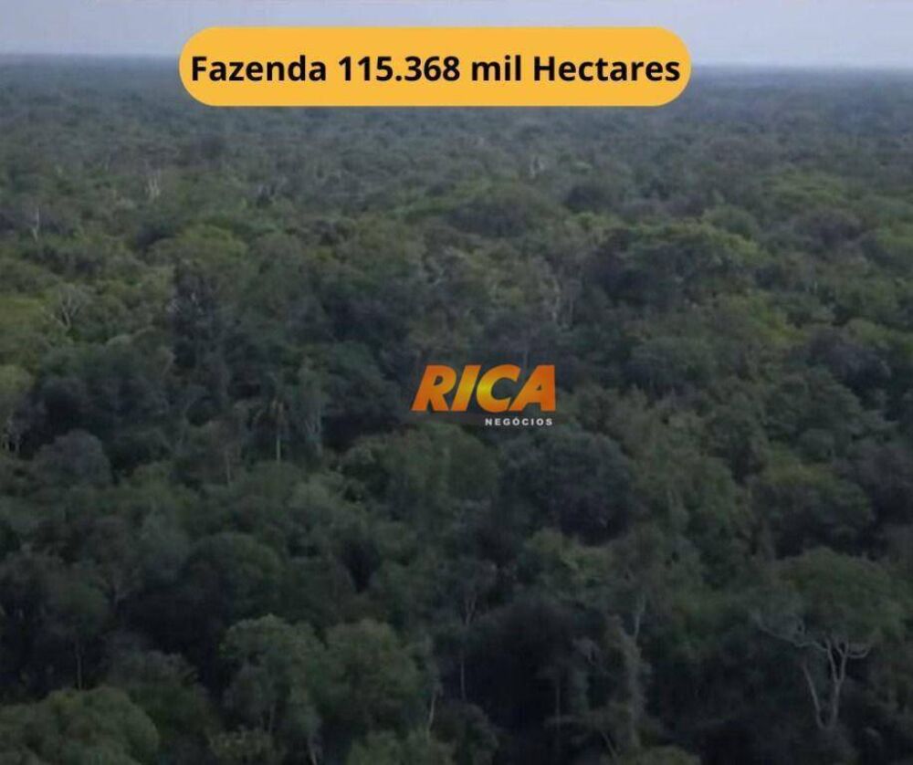 Fazenda, 12 hectares - Foto 1