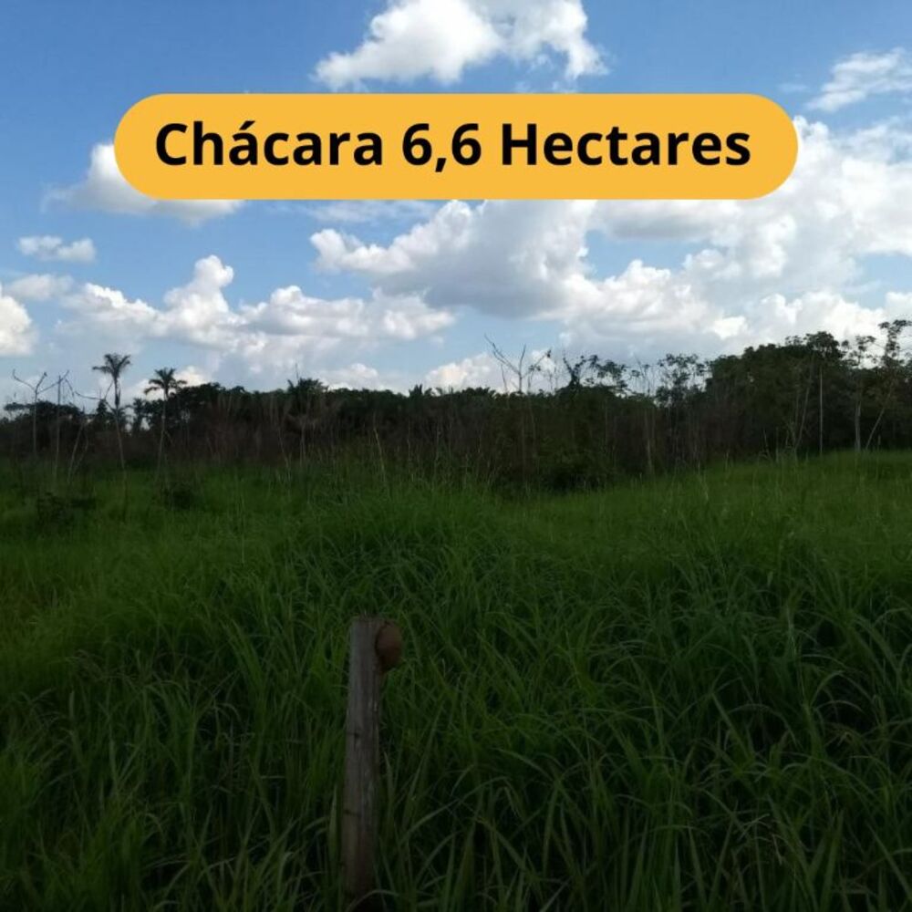 Chácara, 1 quarto, 7 hectares - Foto 1