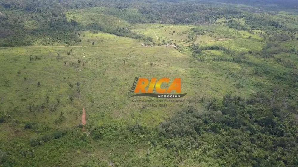 Fazenda, 218 hectares - Foto 9