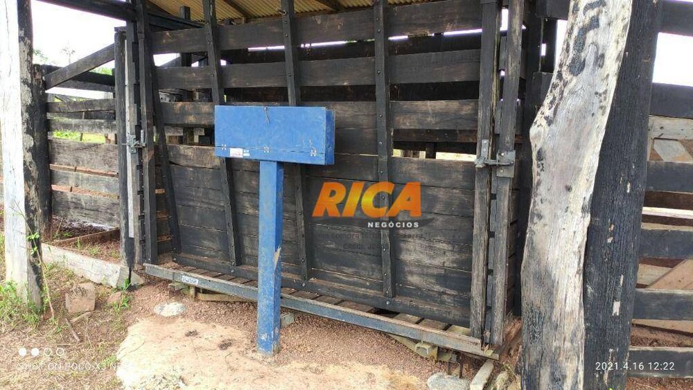 Fazenda, 218 hectares - Foto 1