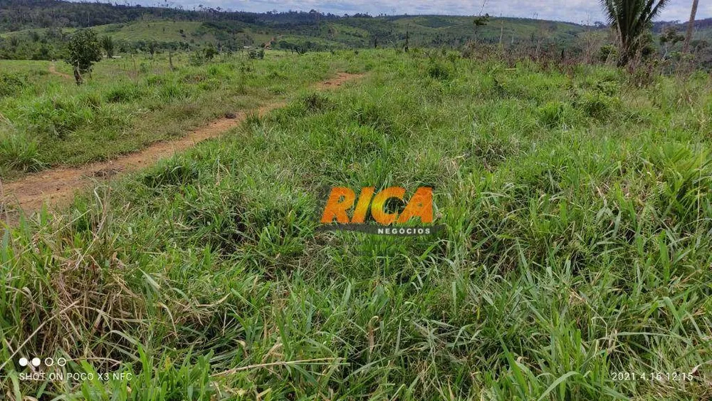 Fazenda, 218 hectares - Foto 4