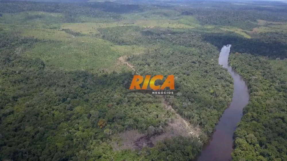 Fazenda, 218 hectares - Foto 6